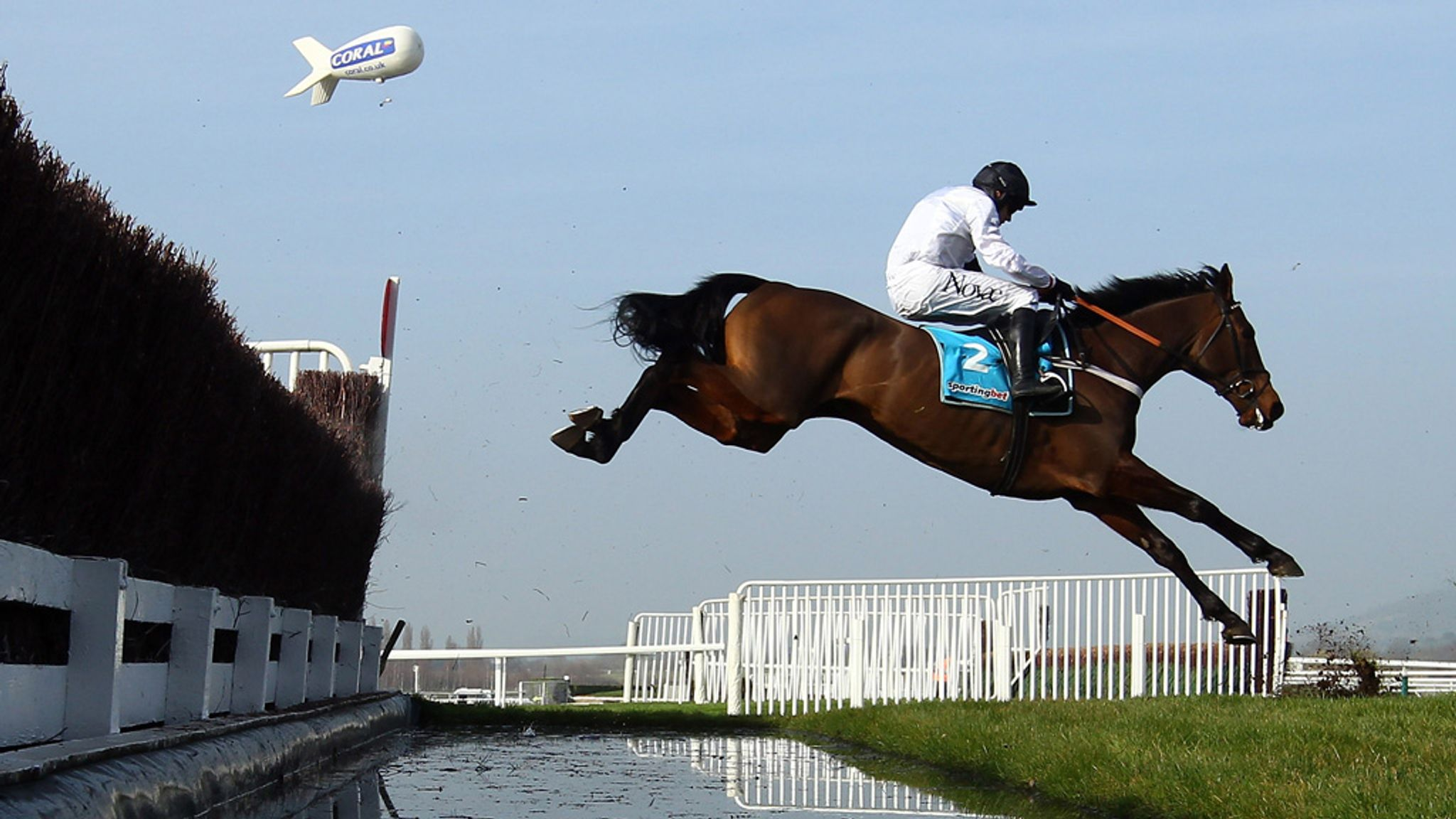 Finian's Rainbow jumping a fence in Michael Buckley's colours